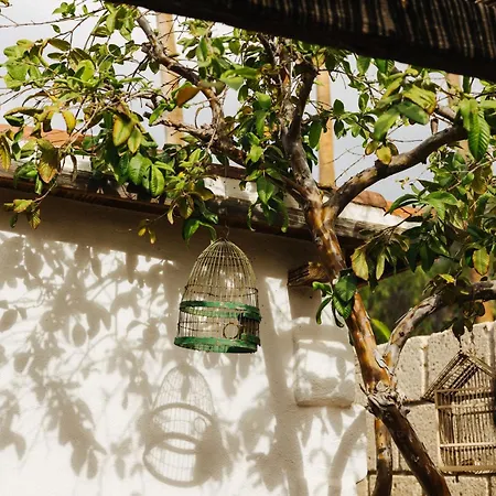 Casa Jable Nueva فيلة أذيخي